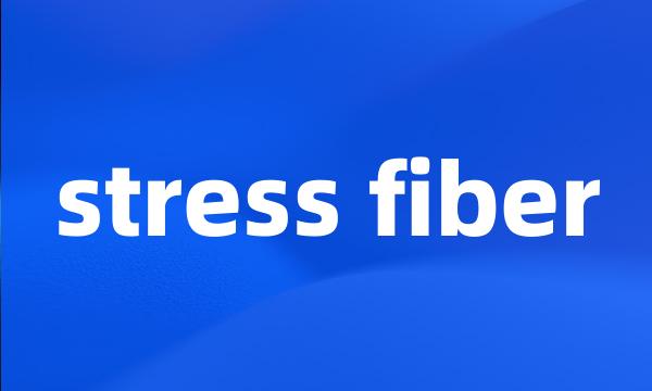 stress fiber