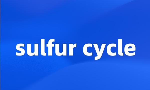 sulfur cycle