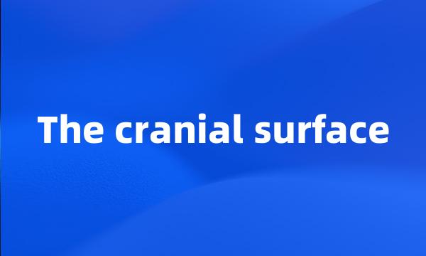 The cranial surface