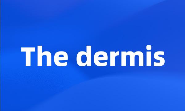 The dermis