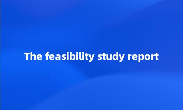 The feasibility study report