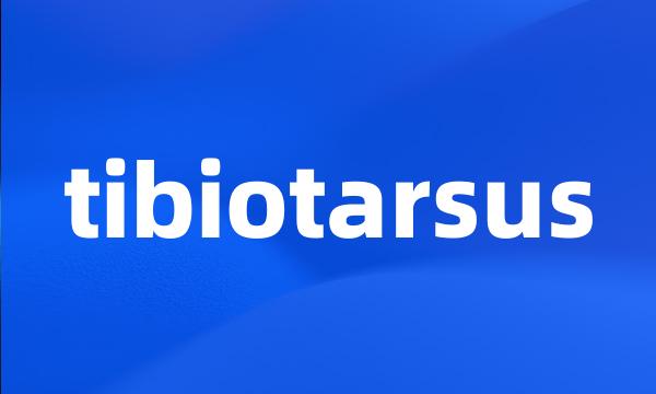 tibiotarsus