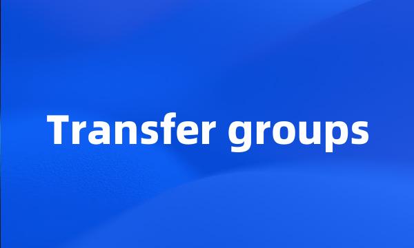 Transfer groups