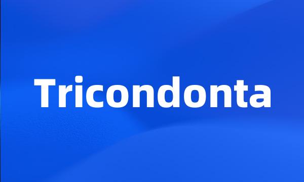 Tricondonta