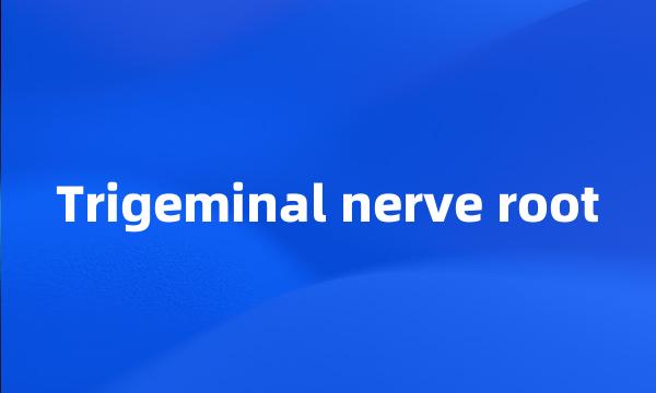 Trigeminal nerve root