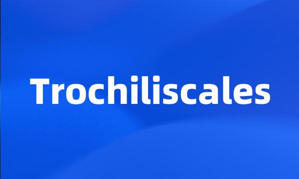 Trochiliscales