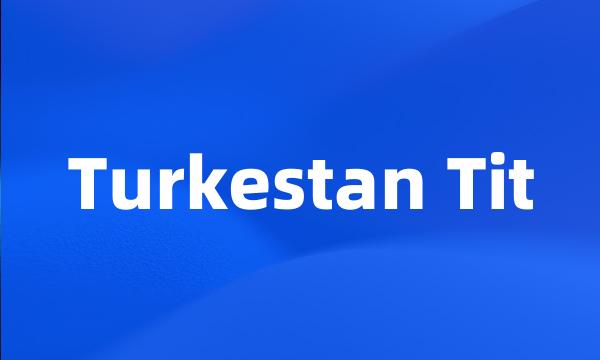 Turkestan Tit