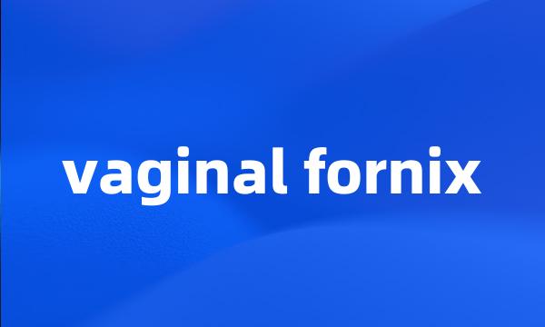 vaginal fornix