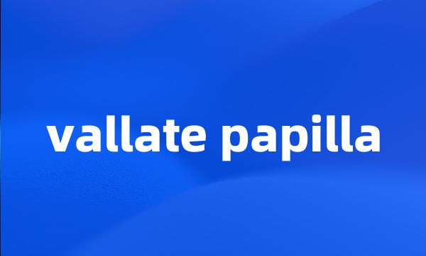 vallate papilla