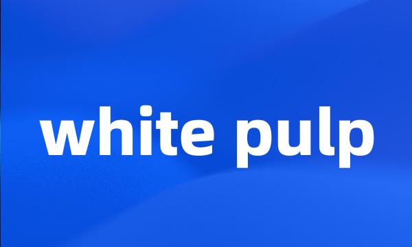 white pulp