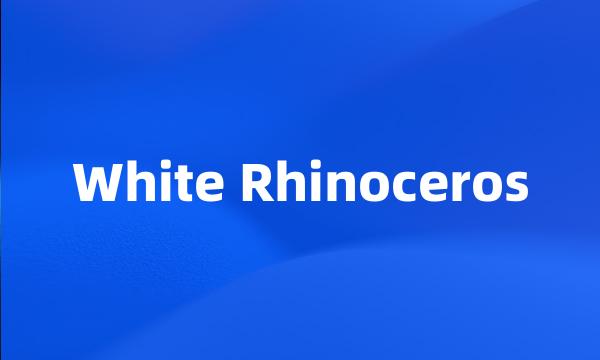 White Rhinoceros