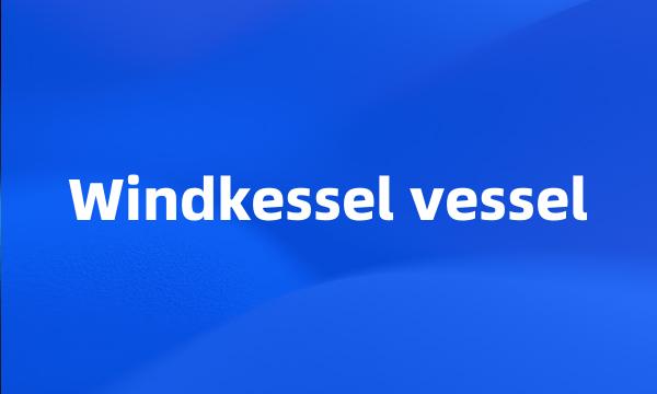 Windkessel vessel