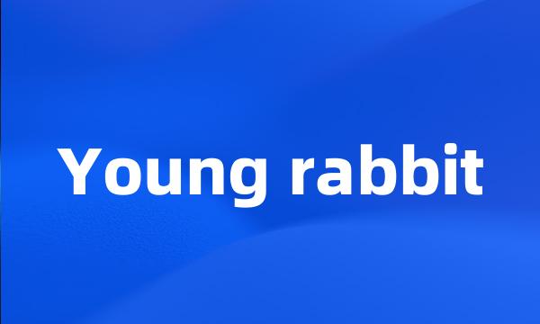 Young rabbit