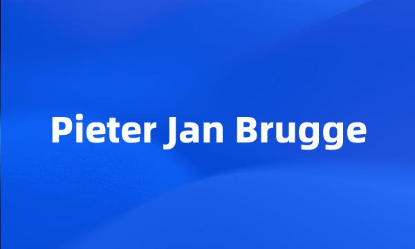 Pieter Jan Brugge