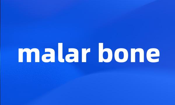 malar bone