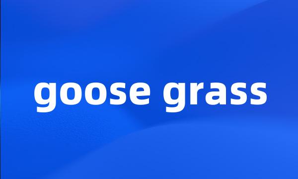 goose grass