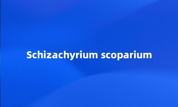 Schizachyrium scoparium