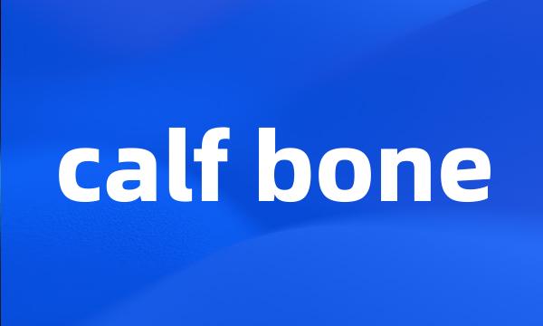 calf bone