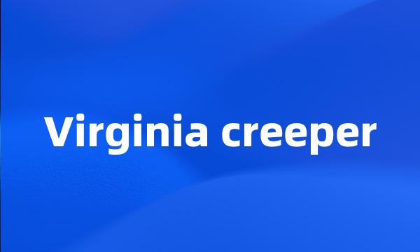Virginia creeper