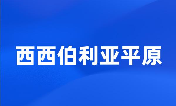 西西伯利亚平原