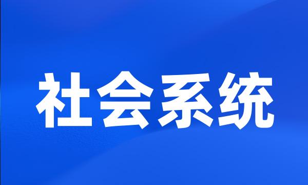 社会系统