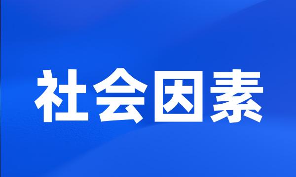 社会因素