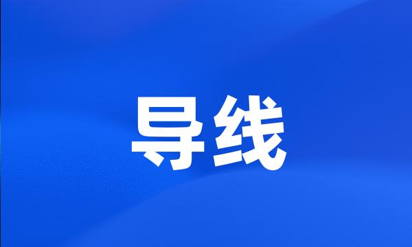 导线