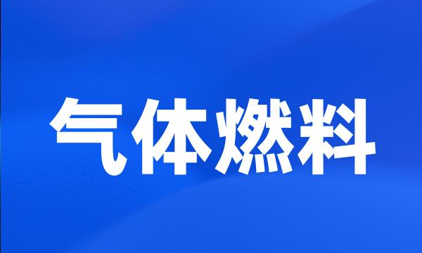 气体燃料