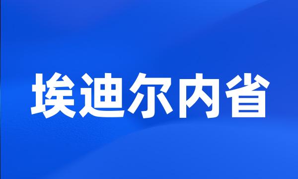 埃迪尔内省