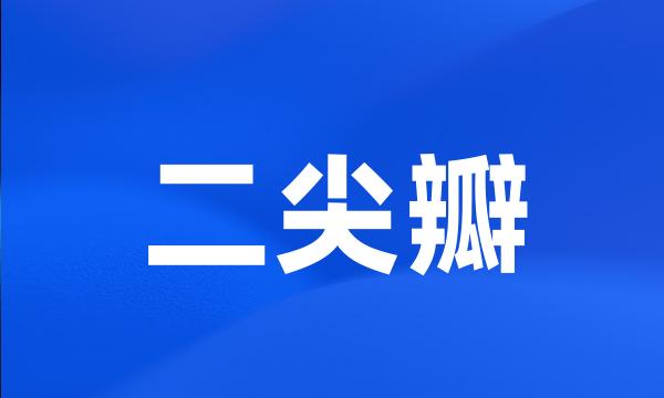 二尖瓣