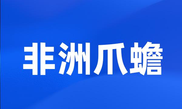 非洲爪蟾