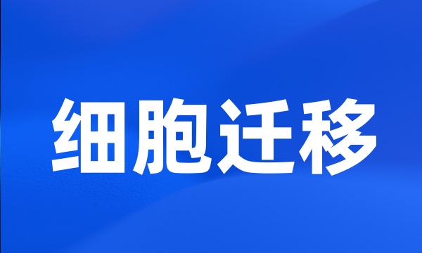 细胞迁移