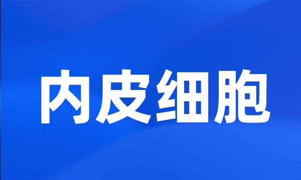 内皮细胞