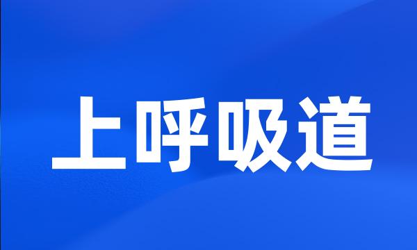 上呼吸道