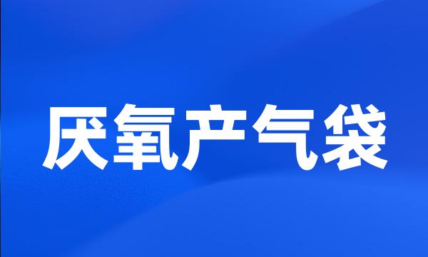 厌氧产气袋