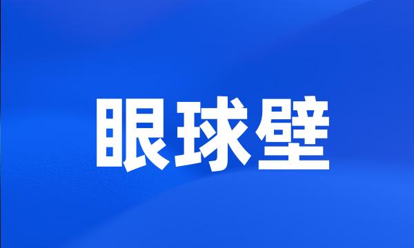 眼球壁