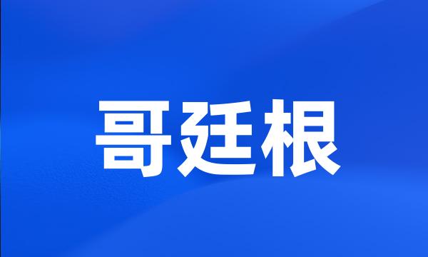 哥廷根