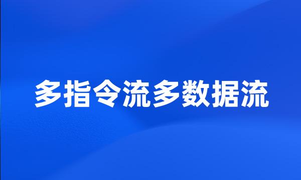 多指令流多数据流