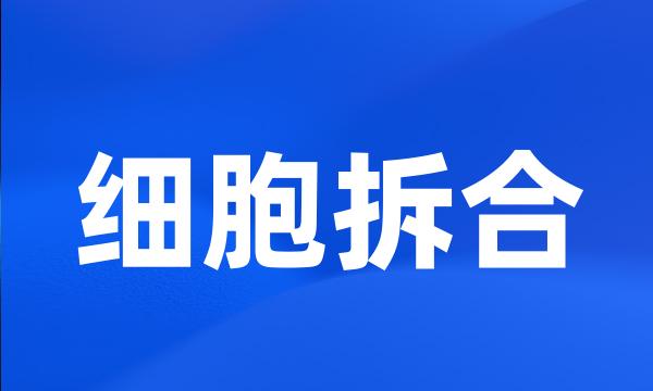 细胞拆合