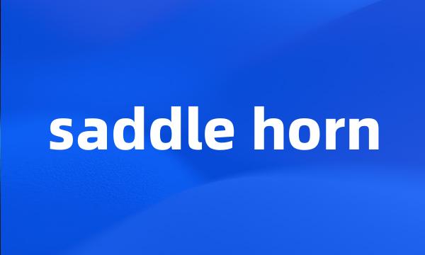 saddle horn