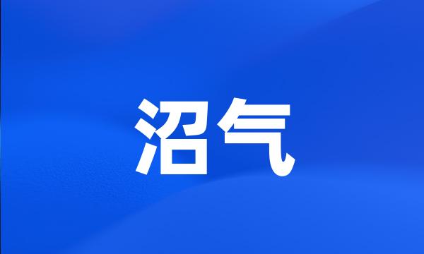 沼气