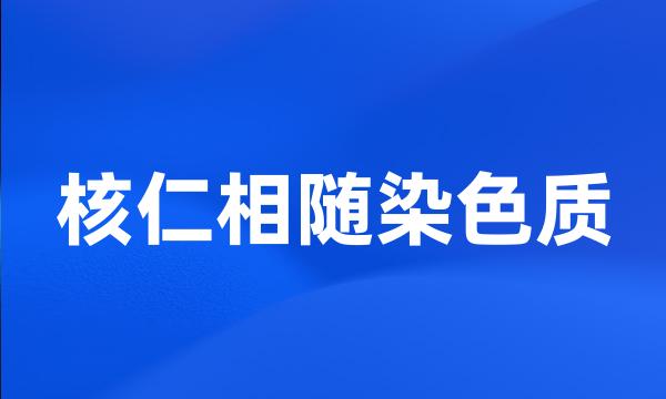 核仁相随染色质