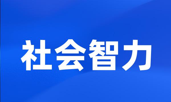 社会智力