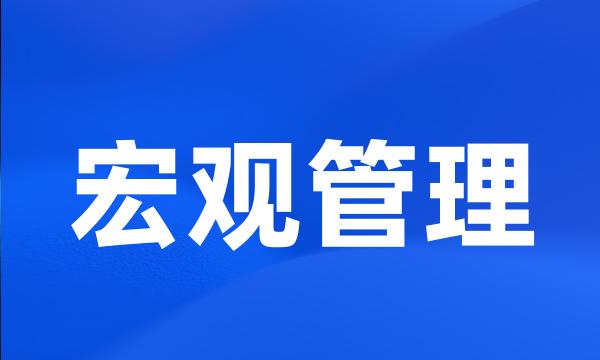 宏观管理