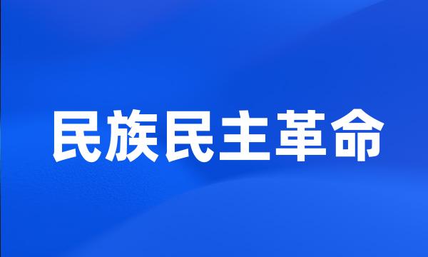 民族民主革命