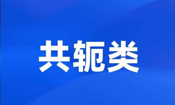 共轭类