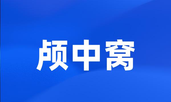 颅中窝