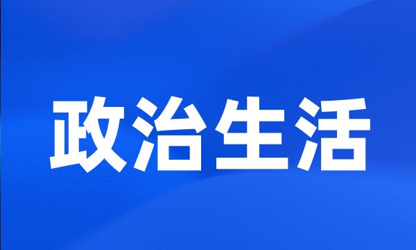 政治生活