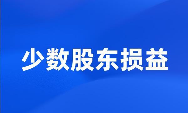 少数股东损益