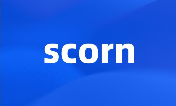 scorn